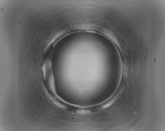 X0000081560109200701151157