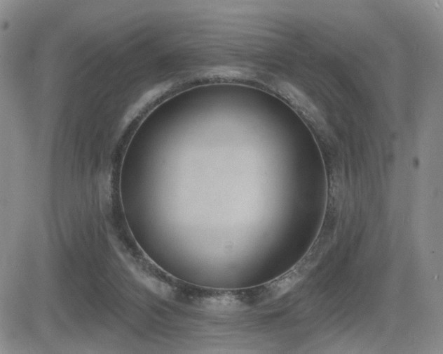X0000081560112200701151156