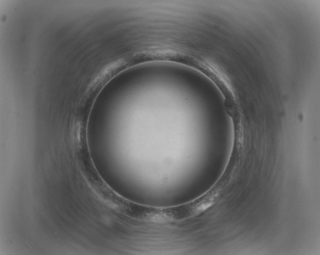 X0000081560115200701151156