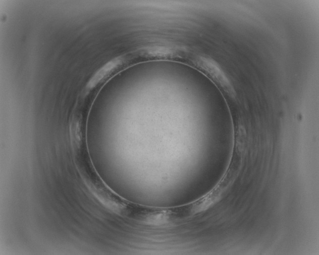 X0000081560116200701151156