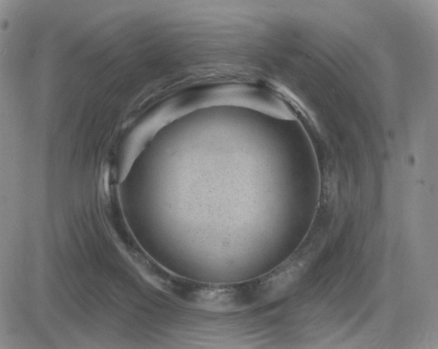 X0000081560117200701151156