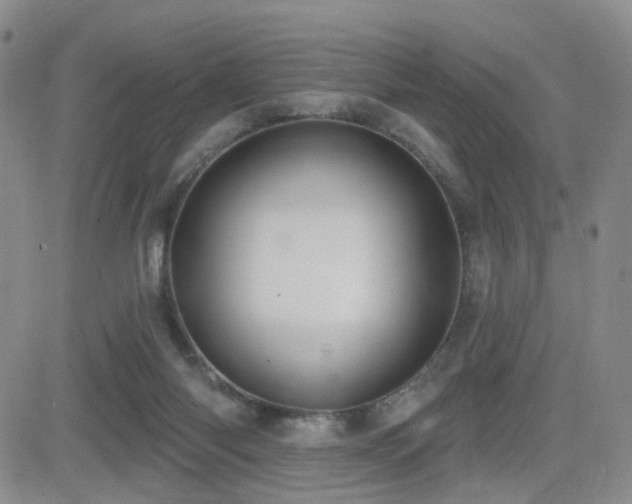X0000081560118200701151156