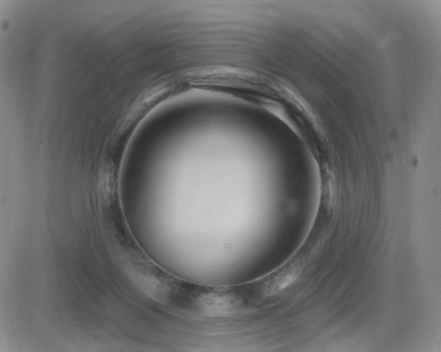 X0000081560119200701151156