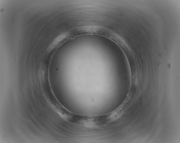 X0000081560120200701151156