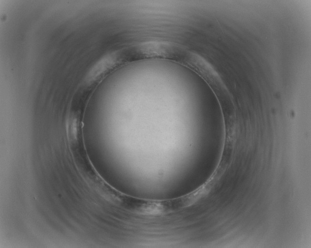 X0000081560124200701151156