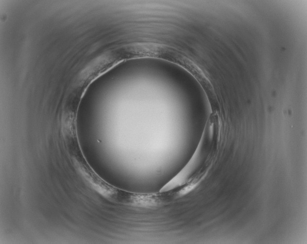 X0000081560141200701151156