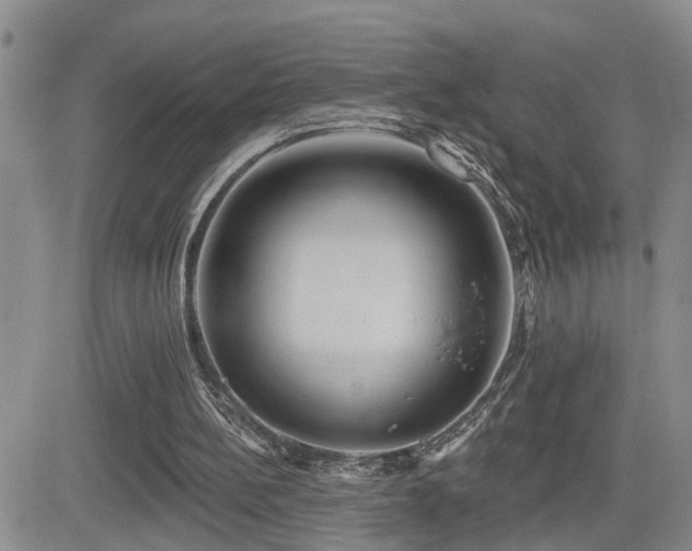 X0000081560148200701151155