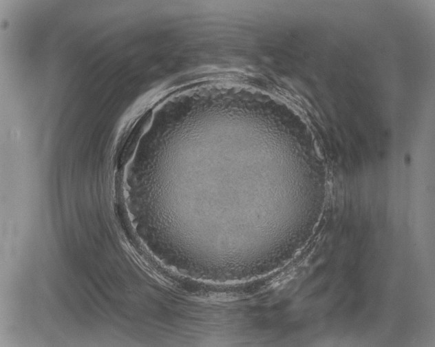 X0000081560149200701151155