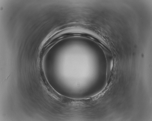 X0000081560150200701151155