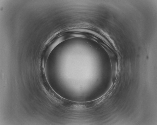 X0000081560154200701151155