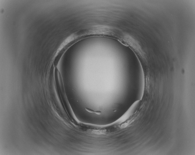 X0000081560156200701151155