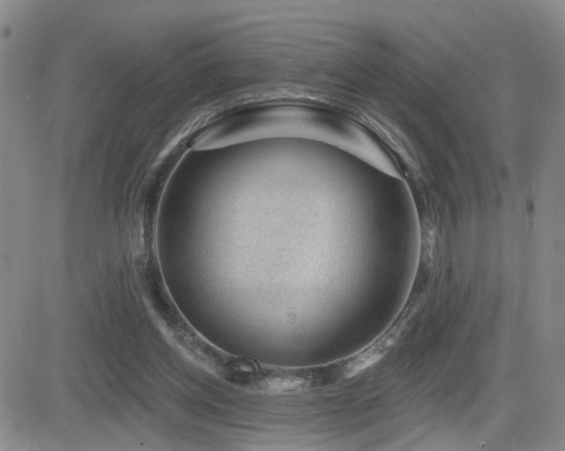 X0000081560158200701151155