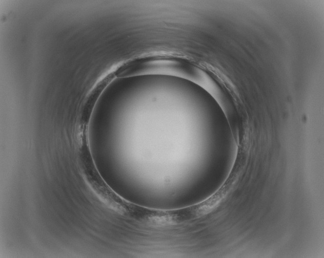 X0000081560160200701151155