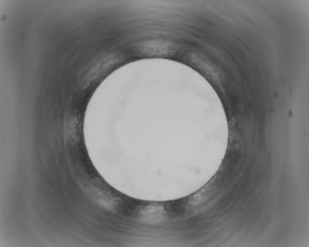 X0000081560162200701151155
