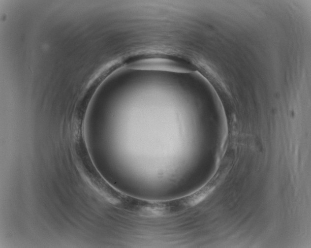 X0000081560164200701151155