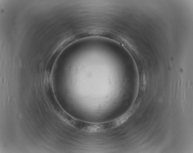 X0000081560172200701151156