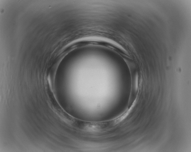 X0000081560174200701151156