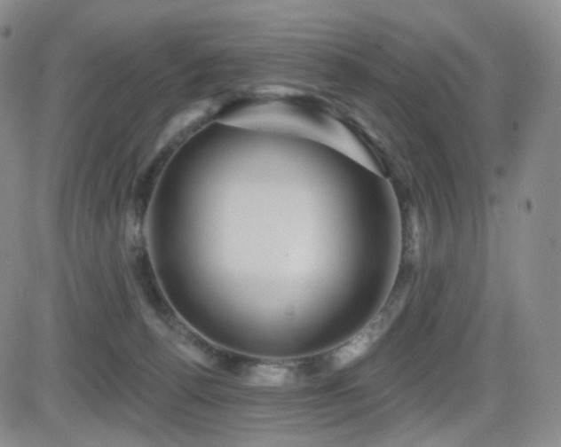 X0000081560176200701151156