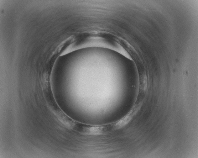 X0000081560184200701151156
