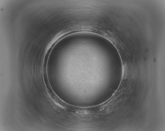 X0000081560195200701151155