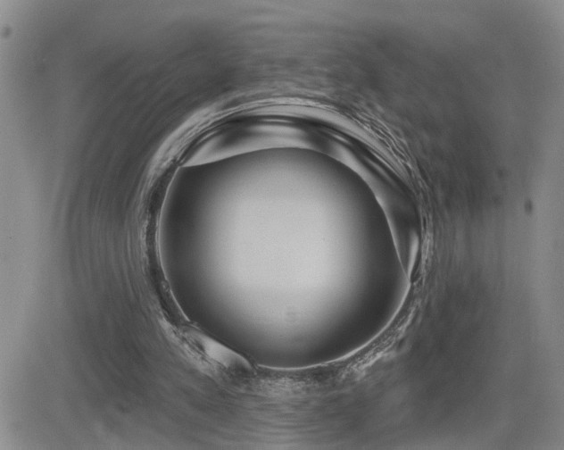 X0000081560197200701151155