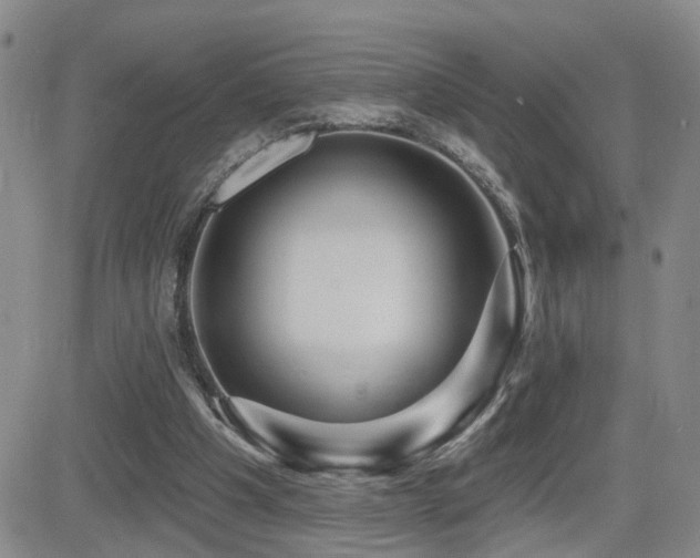 X0000081560201200701151155