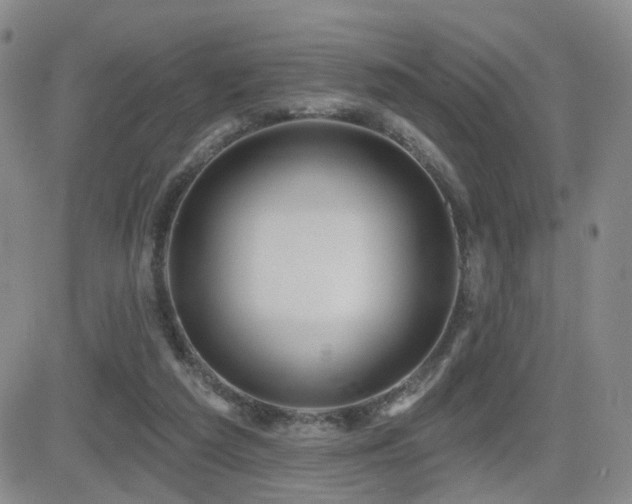 X0000081560209200701151155