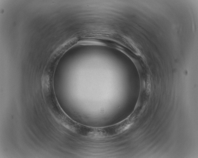 X0000081560211200701151155