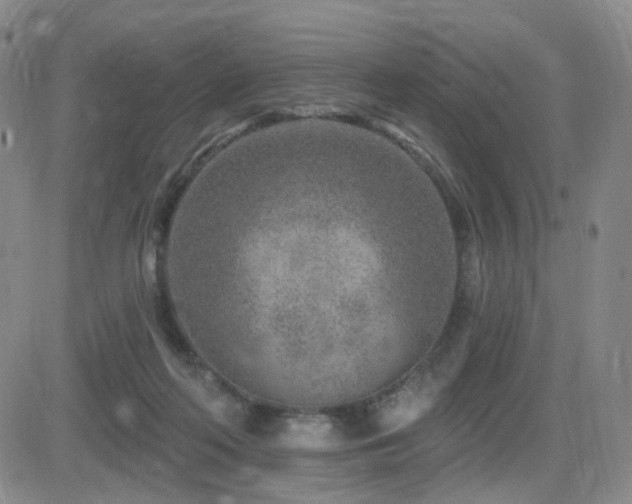 X0000081560214200701151155