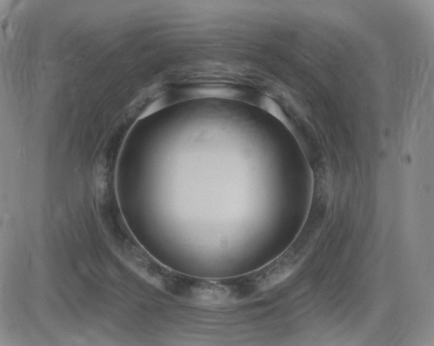 X0000081560215200701151155