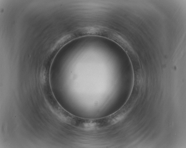 X0000081560216200701151155
