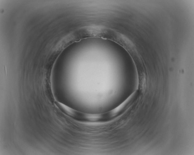 X0000081560221200701151155