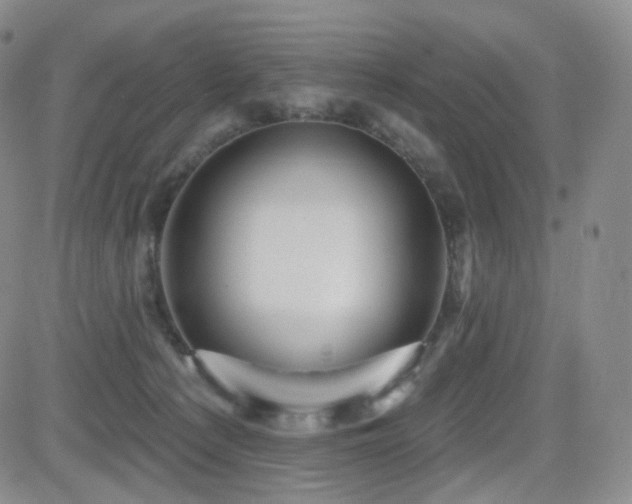 X0000081560225200701151155