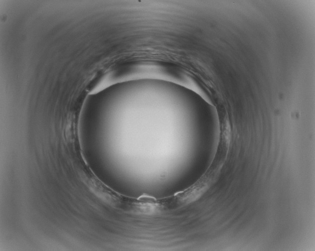 X0000081560233200701151154