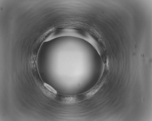 X0000081560237200701151154