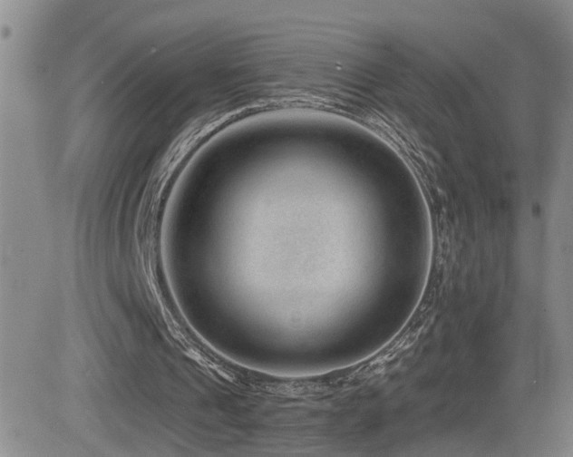 X0000081560241200701151154