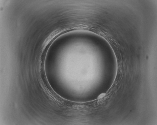 X0000081560242200701151154