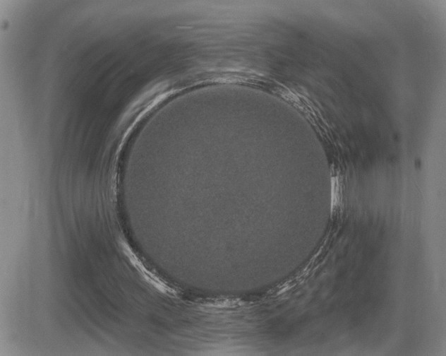 X0000081560243200701151154
