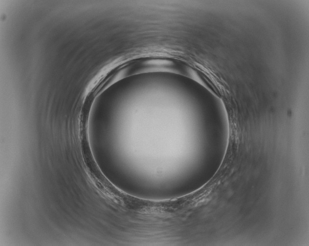 X0000081560244200701151154