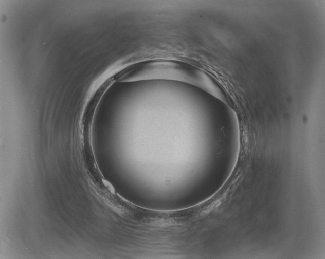X0000081560246200701151154