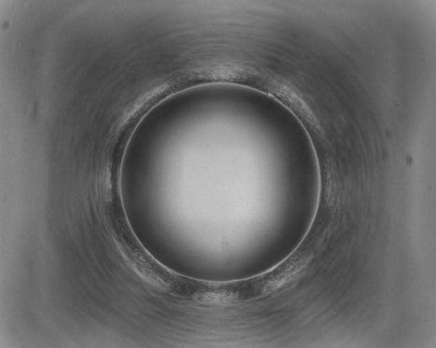 X0000081560251200701151154