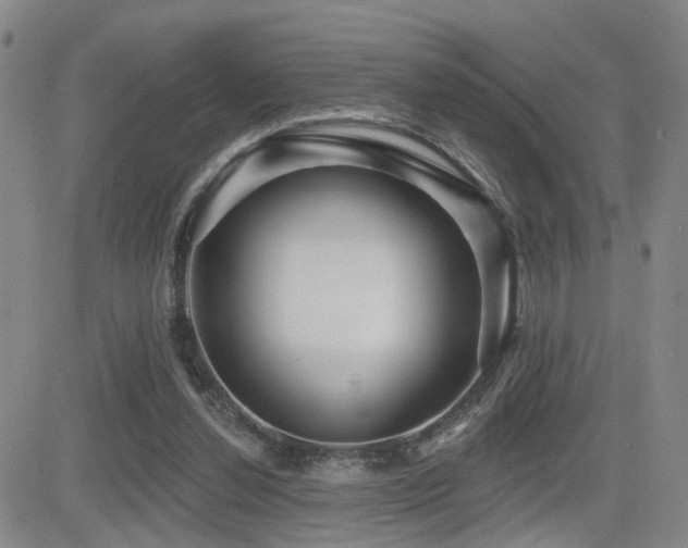 X0000081560252200701151154