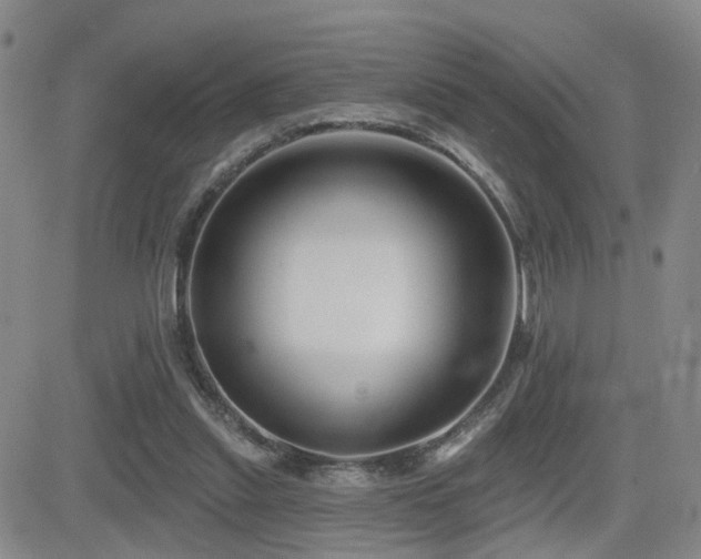 X0000081560253200701151154