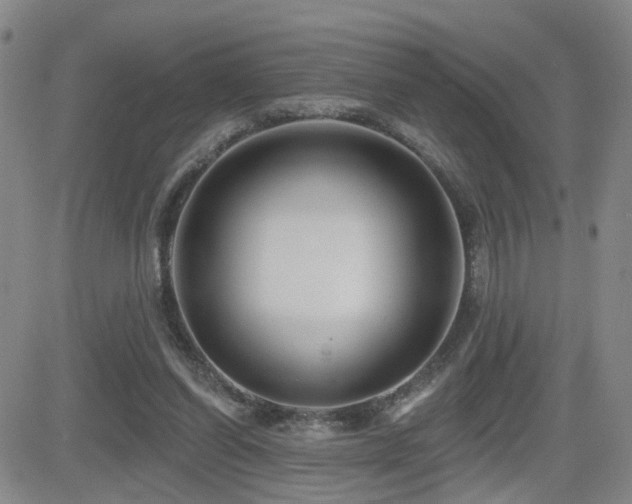X0000081560254200701151154