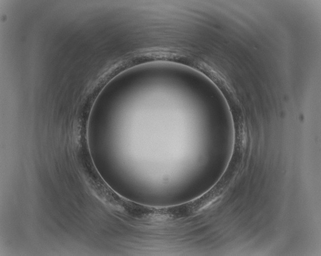 X0000081560255200701151154