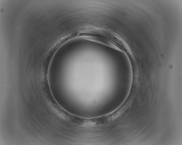 X0000081560257200701151154