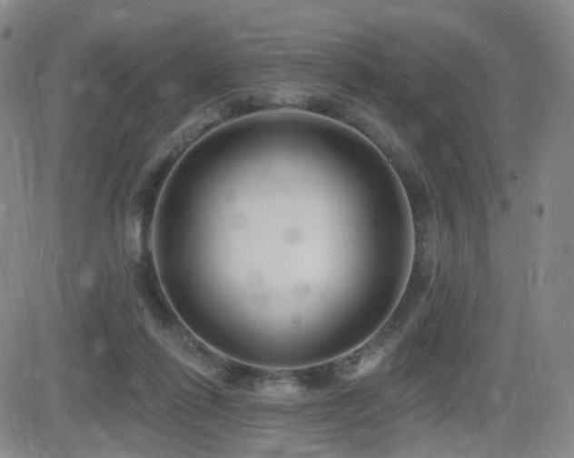 X0000081560262200701151154