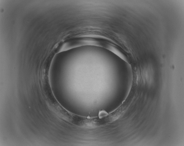 X0000081560263200701151154