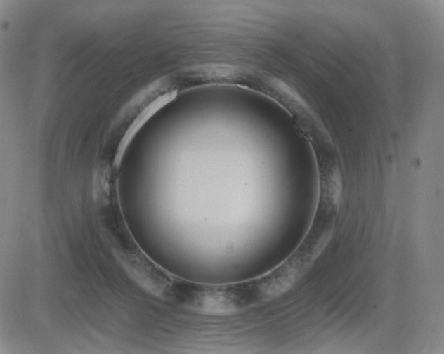 X0000081560264200701151154