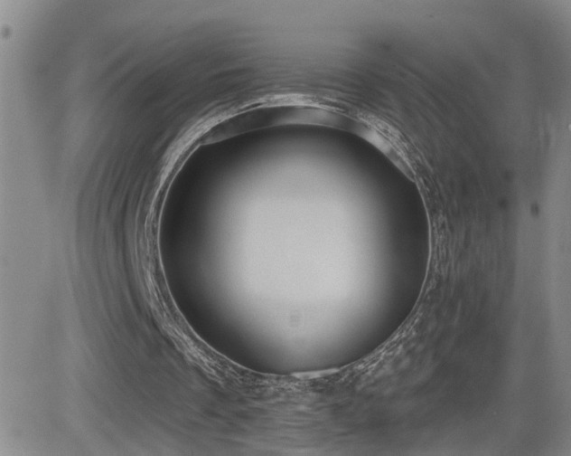 X0000081560289200701151154
